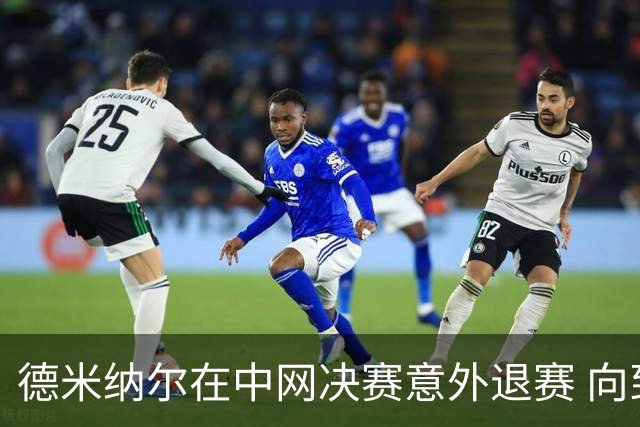 德米纳尔在中网决赛意外退赛 向到场球迷致以诚挚歉意